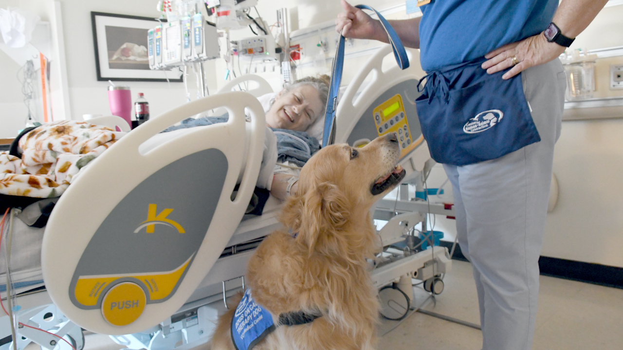 A golden retriever sits at the side of a hospital bed as a patient reaches over the side of the bed to pet him.