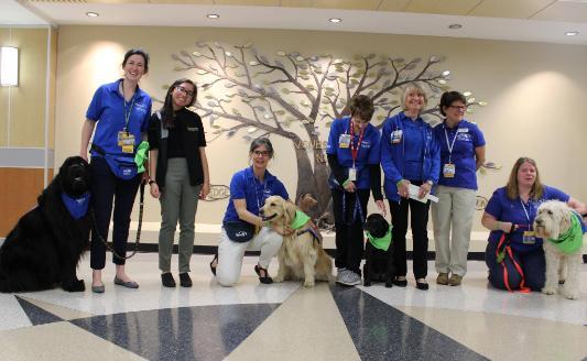 7 smiling people pose alongside 4 Dogs On Call therapy dogs. All of the people and the dogs are wearing at least one blue or green item of clothing. The dogs from left to right are Blue, a black newfoundland; Cricket, a golden retriever; Otis, a black lab, pug and boxer mix; and Oliver, a goldendoodle mix of a golden retriever and poodle.