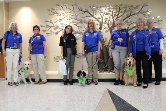a group of 7 smiling people all wearing at least one item of blue or green clothing pose alongside 3 therapy dogs. Each of the Dogs On Call therapy dogs is wearing a blue vest and a green bandana. The dogs from left to right are Zuzu, an English Cream golden retriever; Allie, a black and white poodle and bichon mix; and Dusty, a golden retriever.