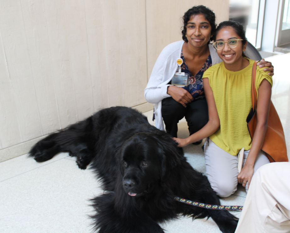 Dogs on call therapy dog blue, an all-black newfie, receives pets from two friends who are smiling at the camera
