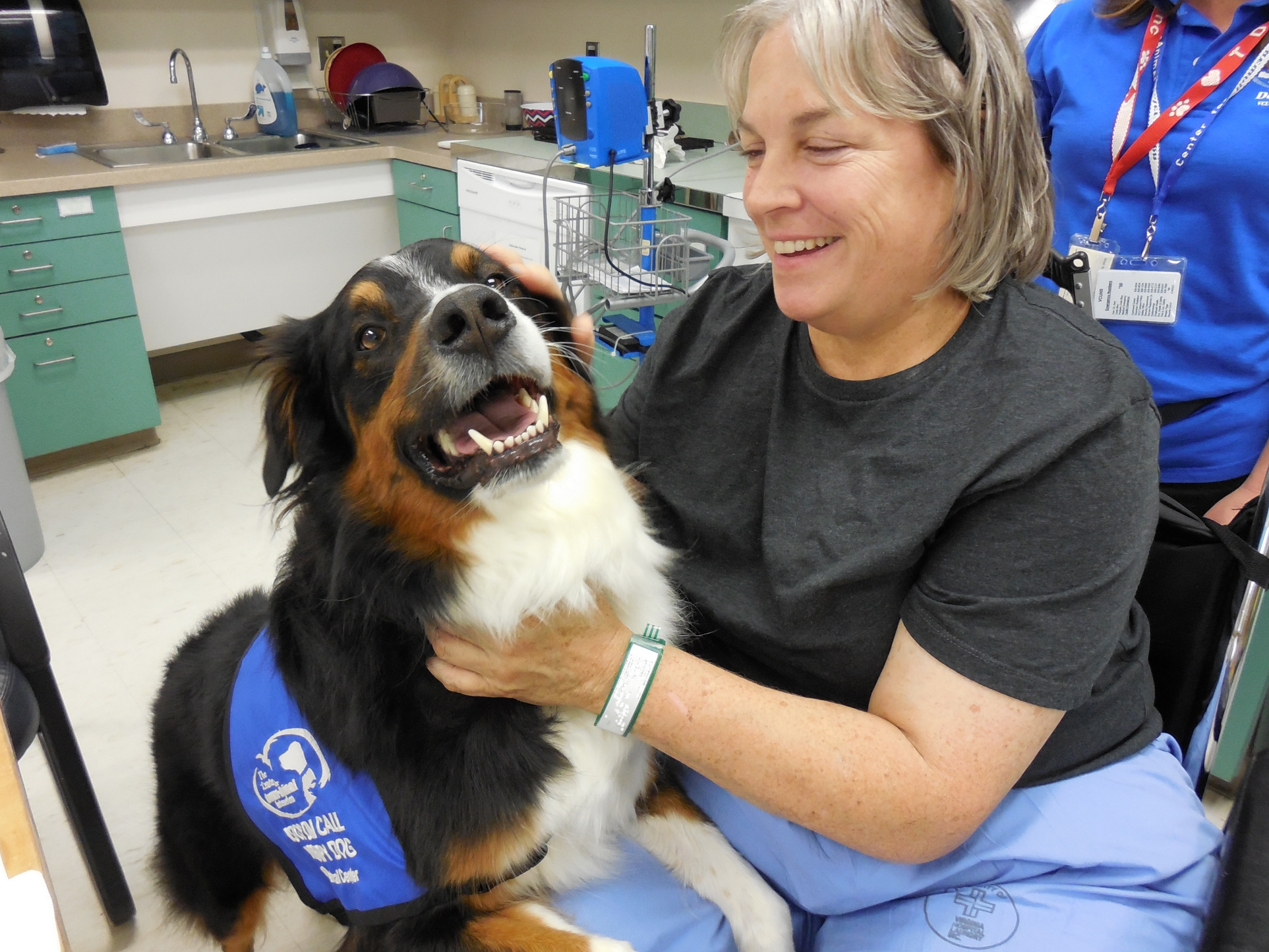 Dogs On Call therapy dog Houdi, an Australian Shepherd with a black, tan and white coat, has his front paws resting on a chair with a patient who is smiling and rubbing Houdi's chest. Houdi is smiling.  