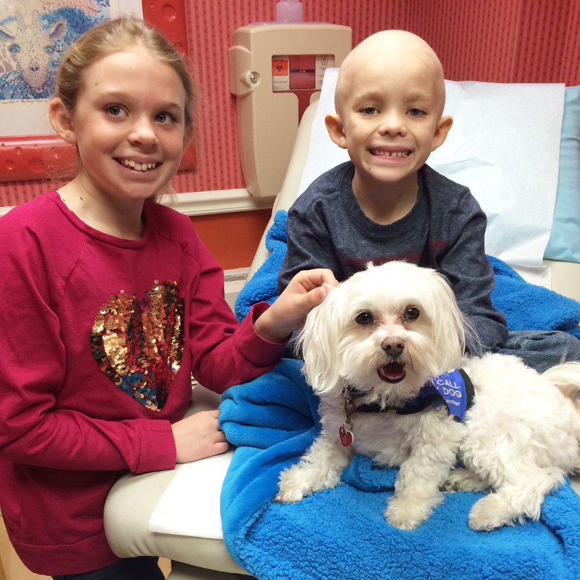 Dogs On Call therapy dog Stewie, a white maltese, sits on a bed with a young patient who is sitting behind Stewie and smiling. A second child is standing beside the bed petting Stewie and is also smiling.