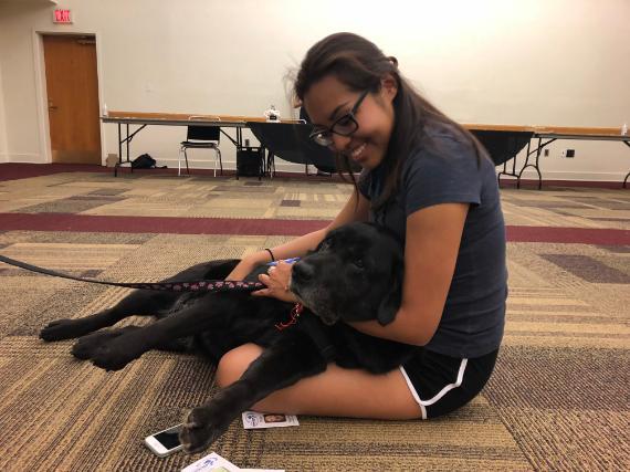 Dogs On Call therapy dog Lilly, a black lab, leans her head on the lap of a student who is smiling down at Lilly. 