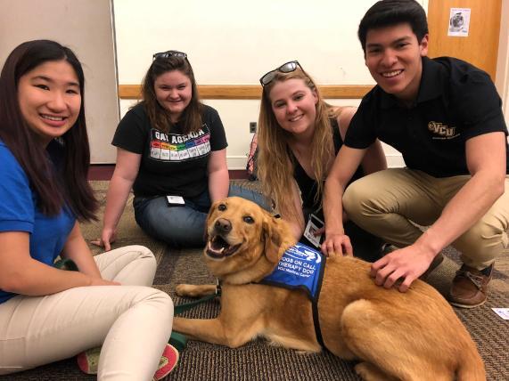 Dogs On Call therapy dog Teddy, a red lab, lays on the floor with a very happy expression with three students and his handler surrounding him.
