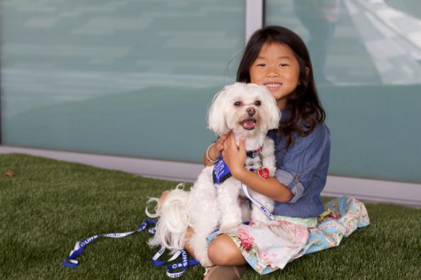 Dogs On Call therapy dog Stewie, a white maltese, sits on the lap of a young patient. They are both smiling and sitting on a grassy patch.