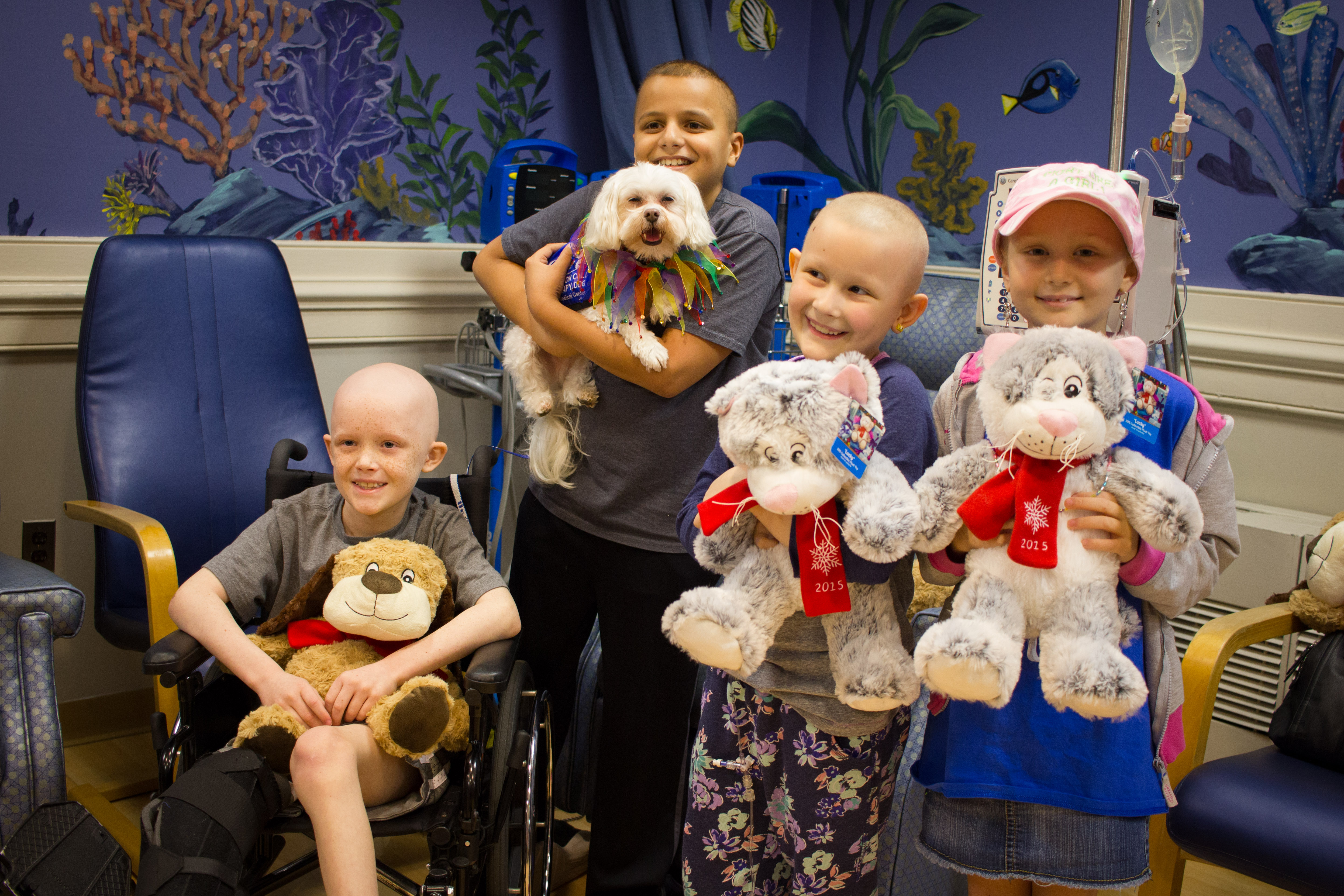 Three pediatric patients hold PetSmart stuffed animals while a fourth child holds Dogs On Call therapy dog Stewie, a white maltese. They are all smiling. 