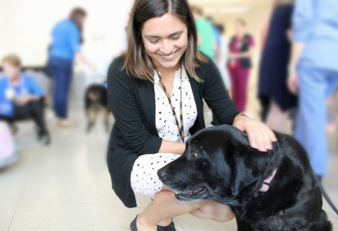 Dogs On Call therapy dog Lilly, a black lab, receives head pats from a kneeling friend.