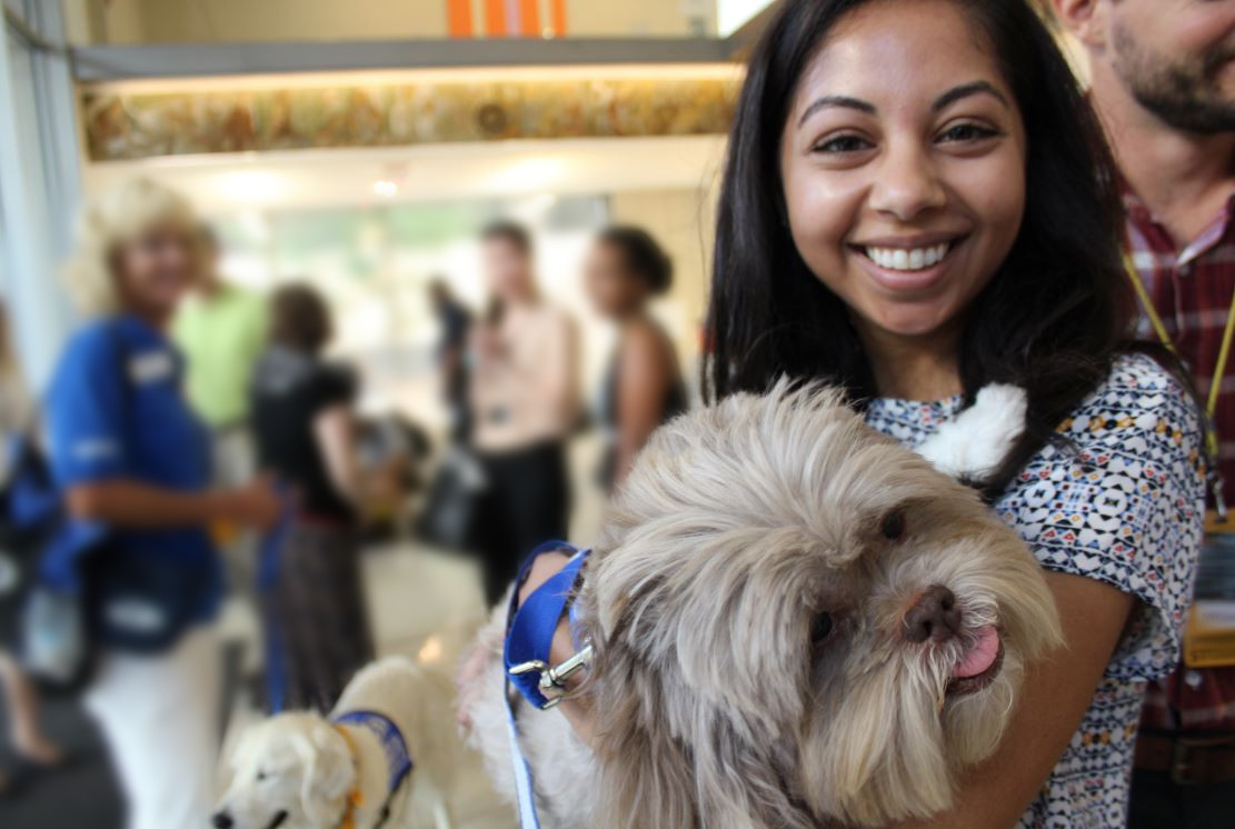 Dogs On Call therapy dog Lucas, a gray lhasa apso, is held by a V C U student who is smiling brightly.