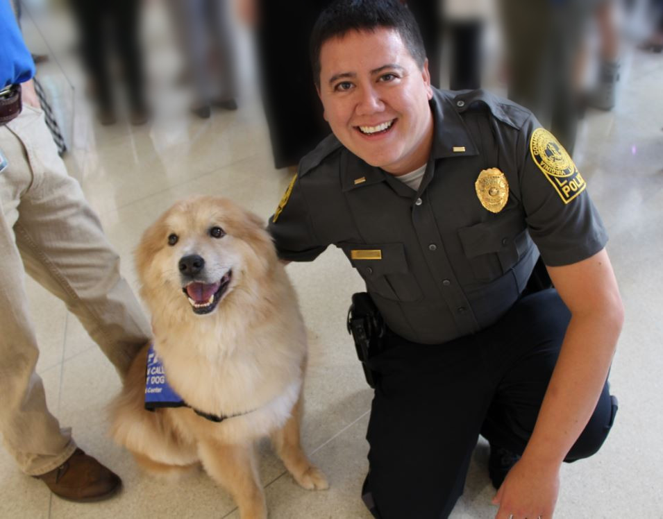 Dogs On Call therapy dog Tucker, a golden retriever and chow mix, sits on the floor with a big smile as he is stroked by a V C U Police officer who is kneeling beside Tucker. 