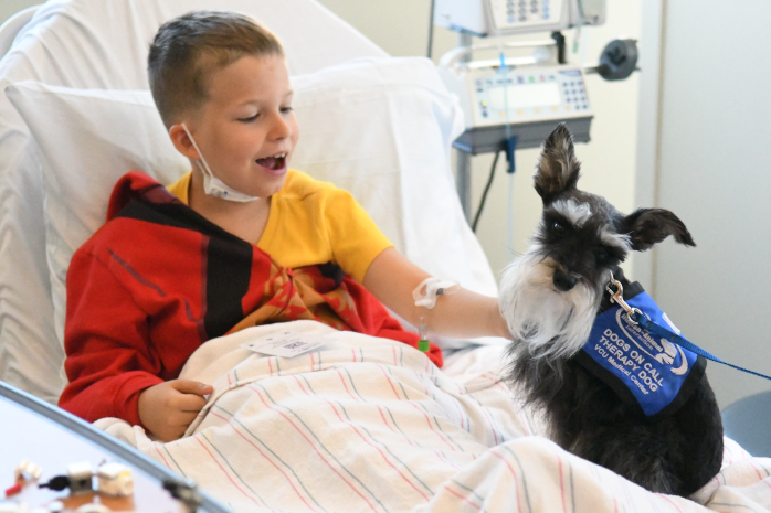 A Miniature Schnauzer with a large beard and a blue Dogs on Call vest looks at the camera as a young boy, smiling and open-mouthed, pets the dog.