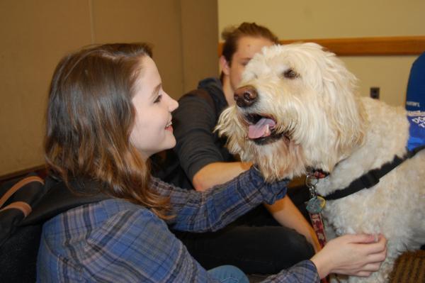 Oliver with student at 2016 Oct Paws for Stress