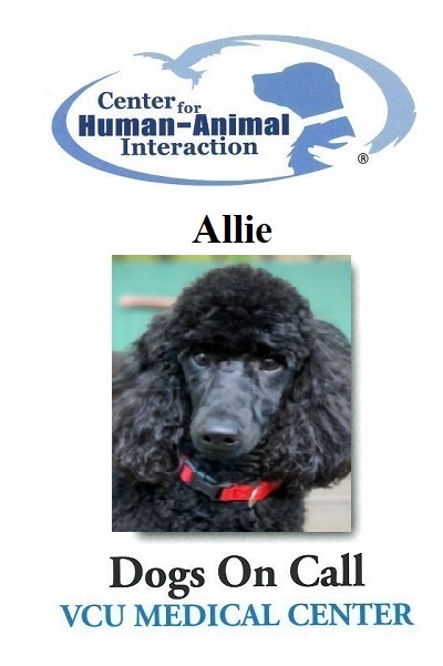 Allie  (Active)