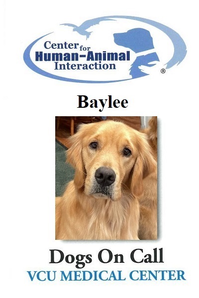 Baylee  (Active)