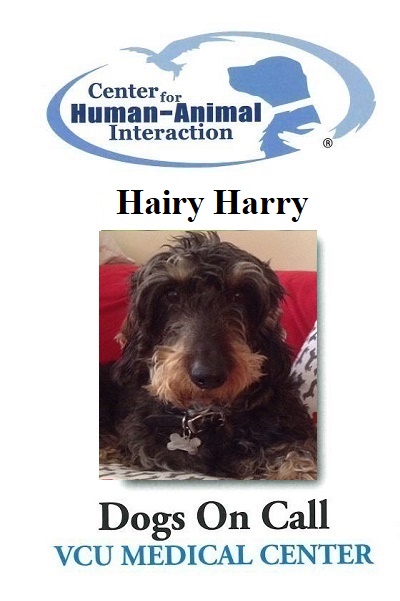 Hairy Harry  (Active)