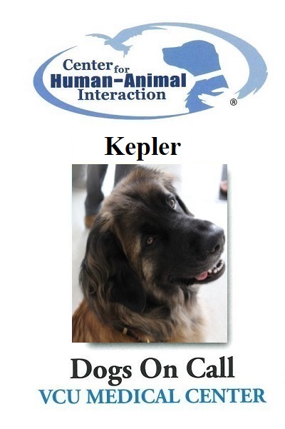 Kepler  (Active)