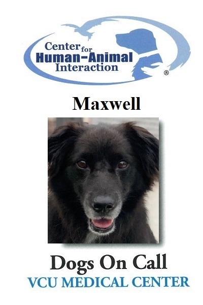 Maxwell  (Active)