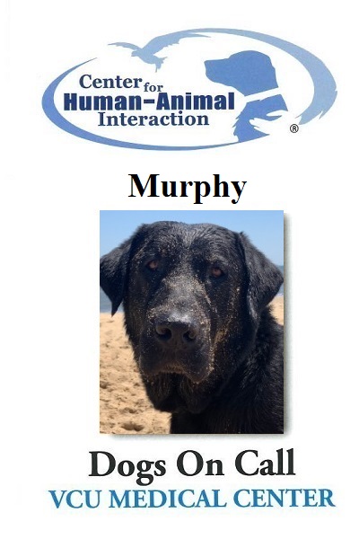 Murphy  (Active)