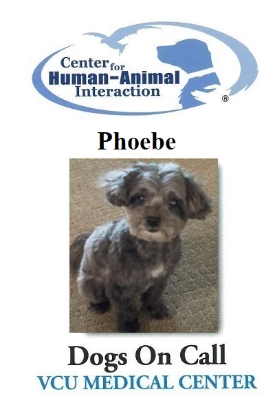 Phoebe  (Active)
