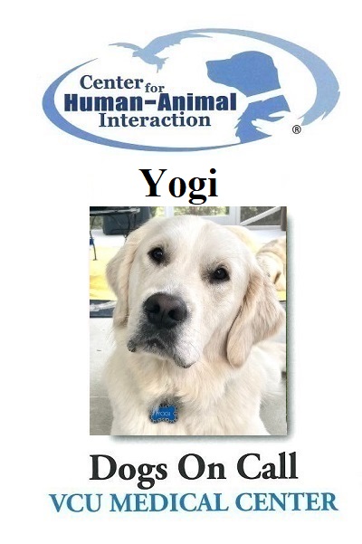 Meet the Dogs | Center for Human-Animal Interaction | Virginia Commonwealth  University
