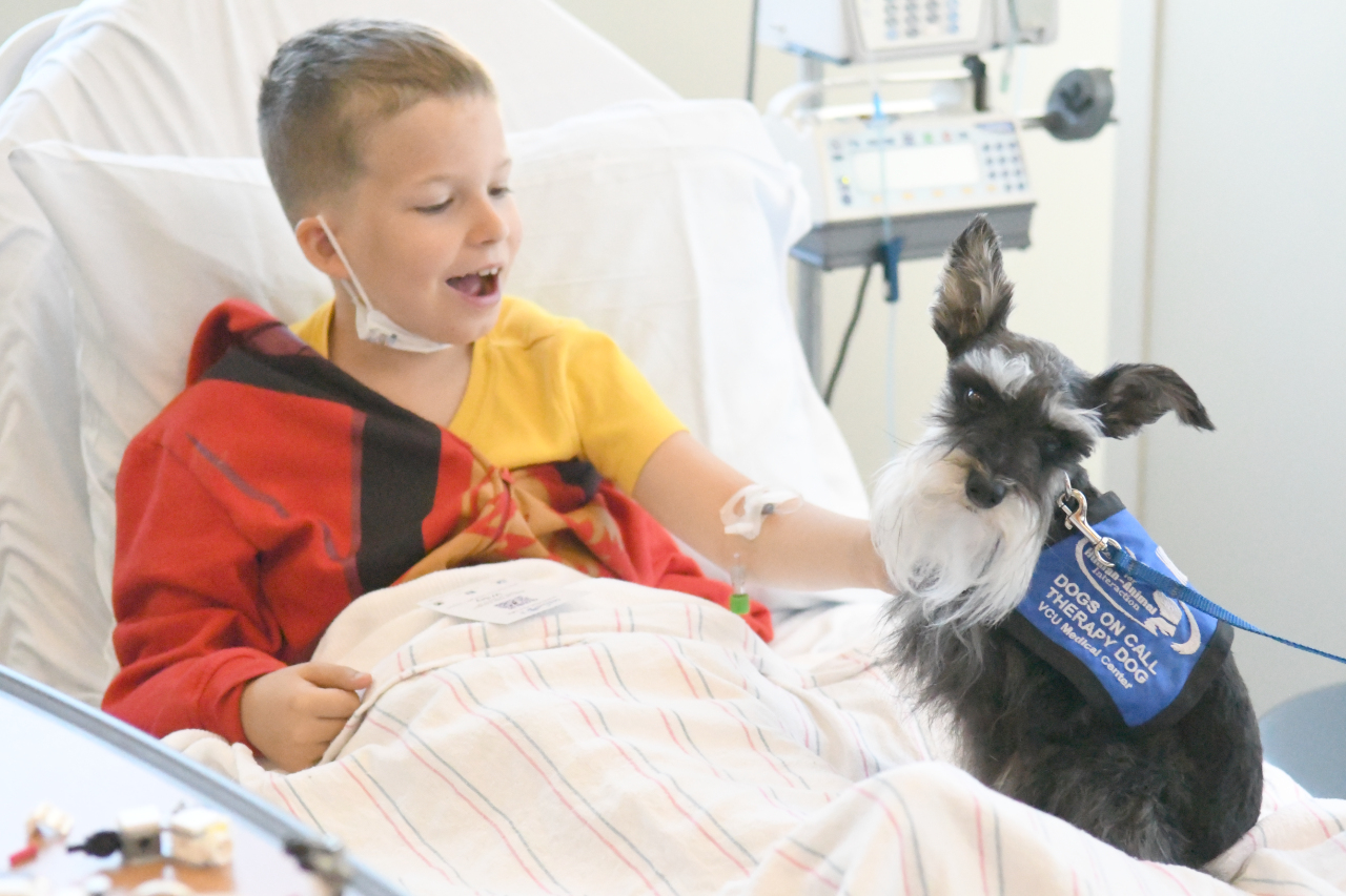 A Miniature Schnauzer sits on a pediatric patient as a child in the bed smiles and touches his large beard.  The dog is looking at the camera and the child is looking at the dog.