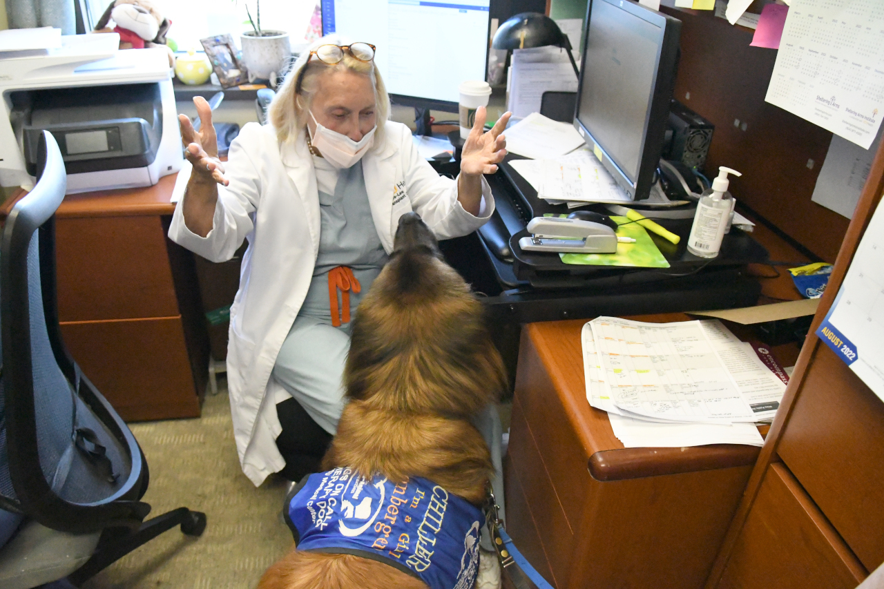 A medical professional has her hands up in excitement as she looks down at a Leonberger.  The Leonberger has her back to the camera and is looking at the medical professional.