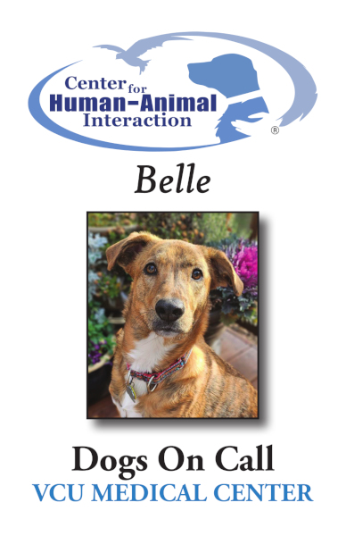 A trading card for 