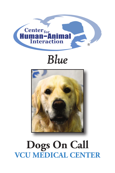 A trading card for the therapy dog 