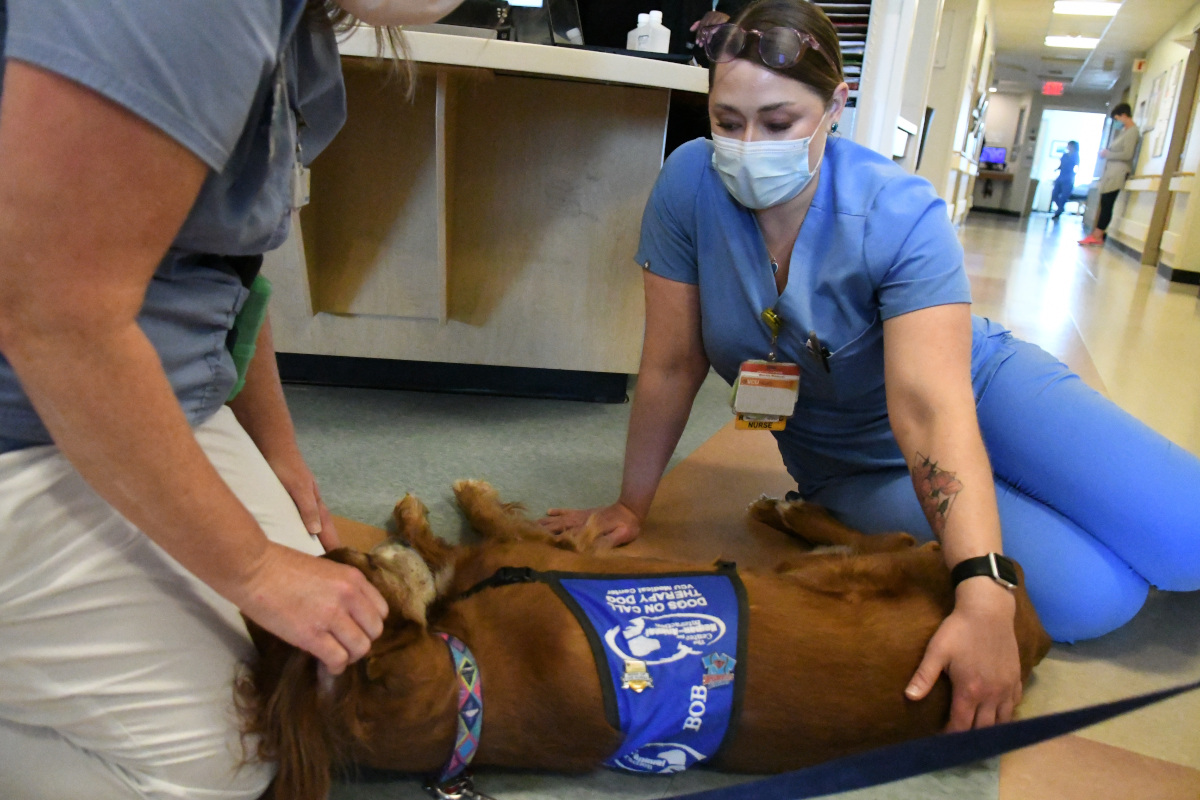 An Irish Setter rests its head on the lap of a medical professional, while a second medical professional leans over and pets him.
