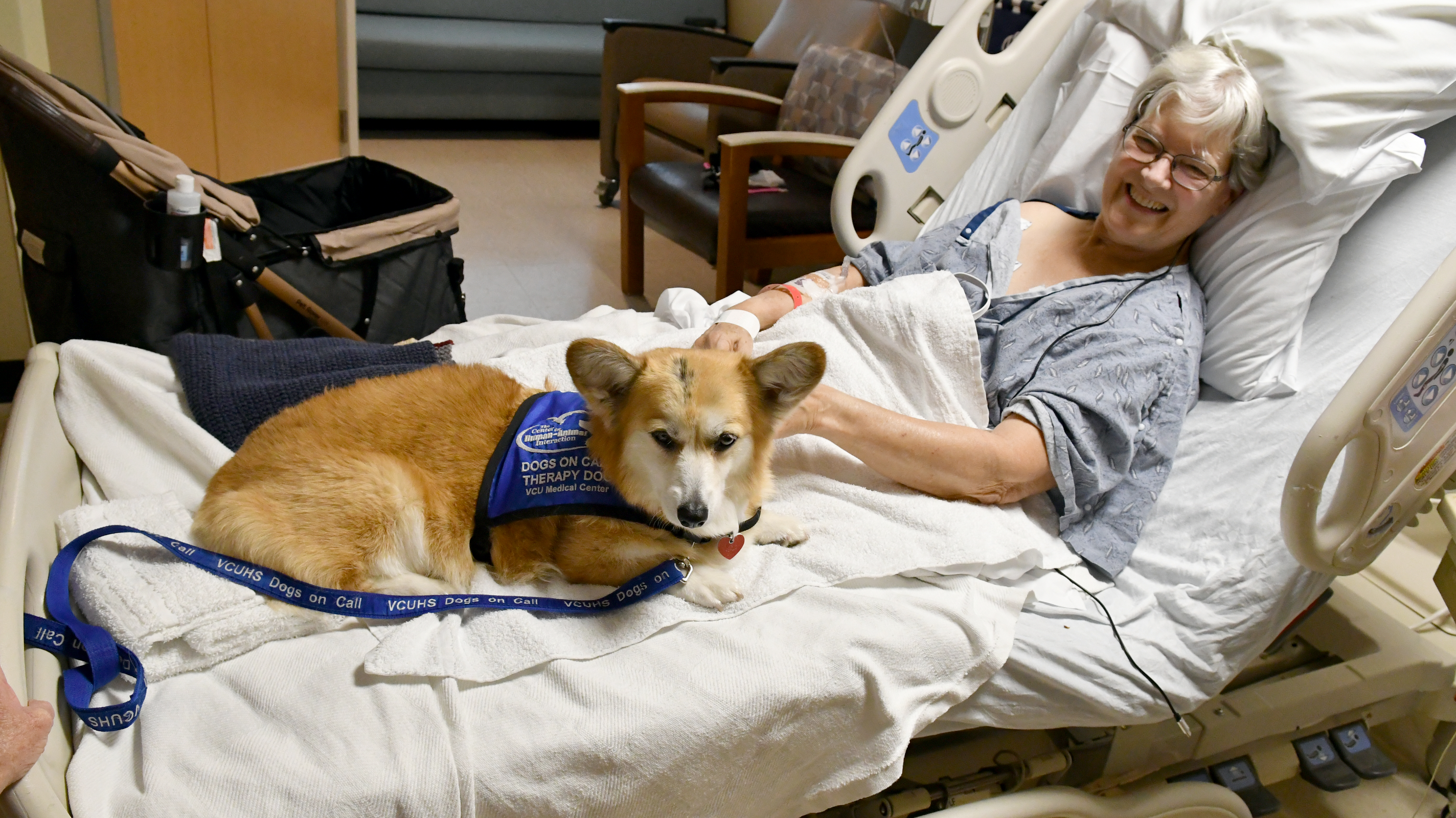 A Corgi sits on a towel on a hospital bed.  The patient in the bed is smiling while petting the dog.