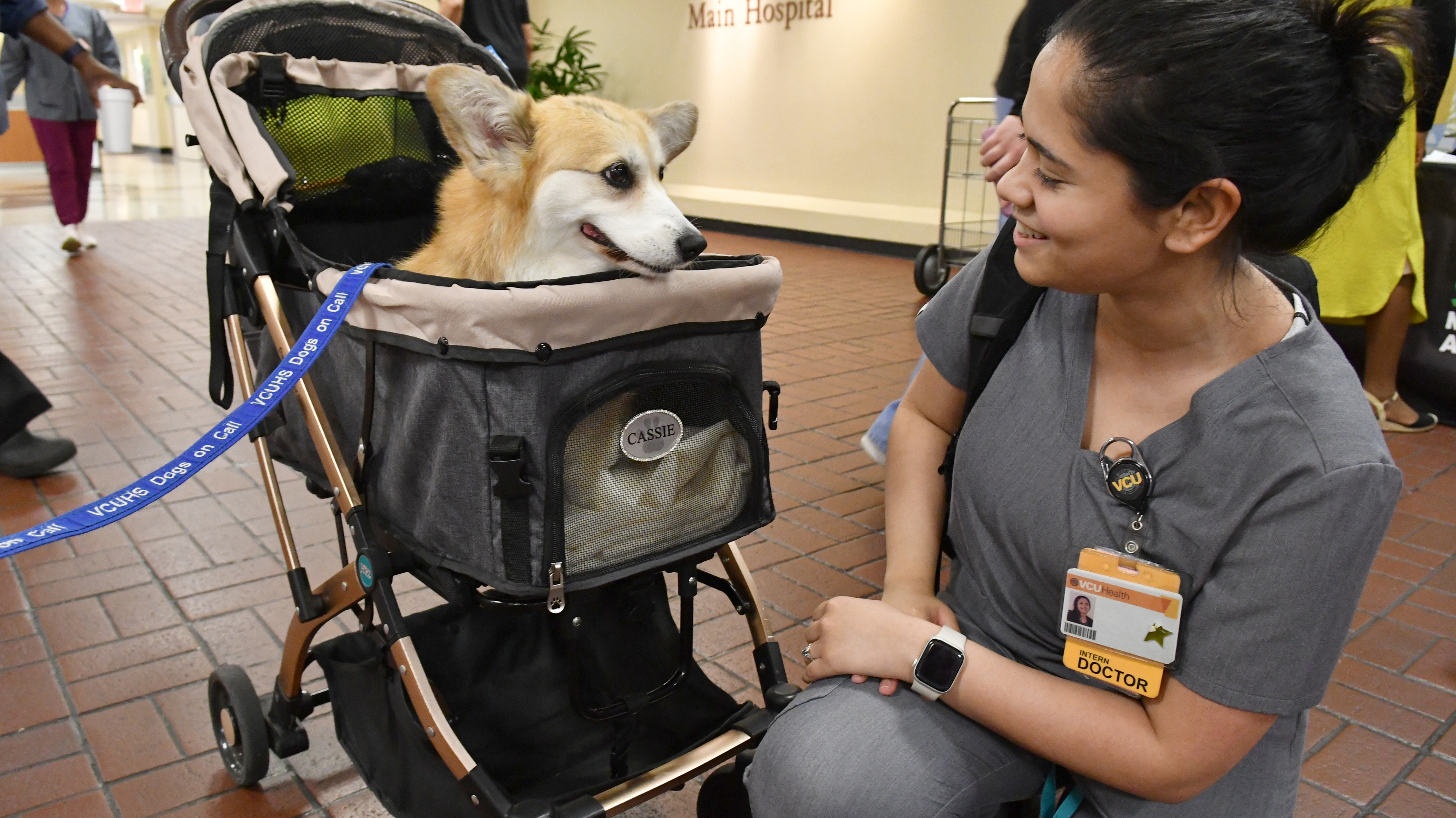 A Welsch Corgie lays in a stroller with her head poked out and smiling at a doctor who is kneeling down to be at the same level as the Corgie.  The doctor and corgie are smiling at each other.