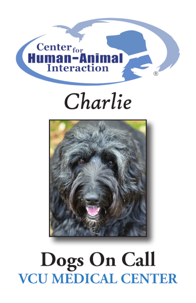 A trading card for 