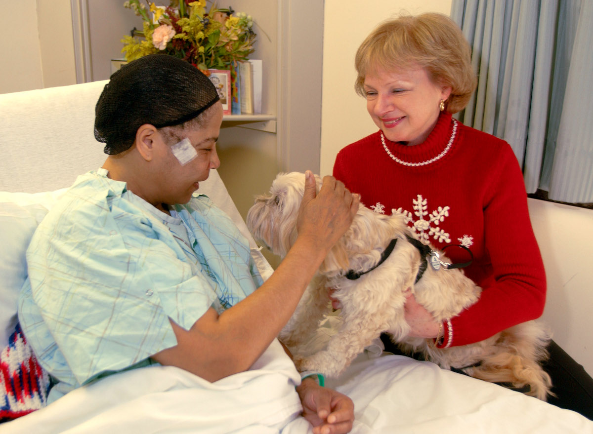 Dr. Barker is wearing a red sweater while presenting a lhasa apso to a hospital patient.  The patient is petting the therapy dog, and everyone is smiling.