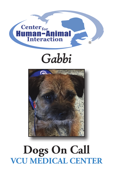 The Dogs on Call trading card for Gabbi; Gabbi is a Border Terrier