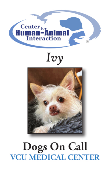 The trading card for 
