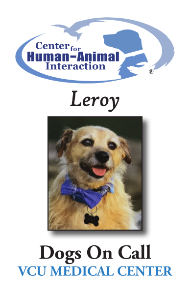 The Dogs on Call trading card for Leroy; Leroy is a small mixed-breed dog with cream-colored fur.