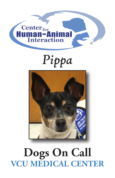 Trading card for 