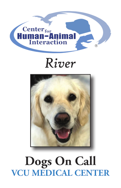 The trading card for 
