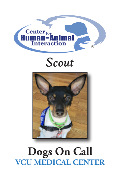 The Dogs on Call Trading Card for Scout; Scout is a Rat Terrier