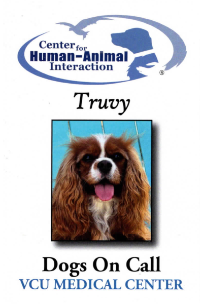 The Dogs on Call Trading Card for Truvy; Truvy is a Cavalier King Charles Spaniel!