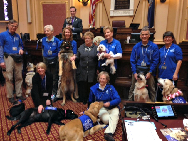 8 Dogs On Call therapy dogs are in the Virginia General Assembly along with their handlers. There is a yellow lab, three golden retrievers, a leonberger, a maltese, a yorkie and a black lab.