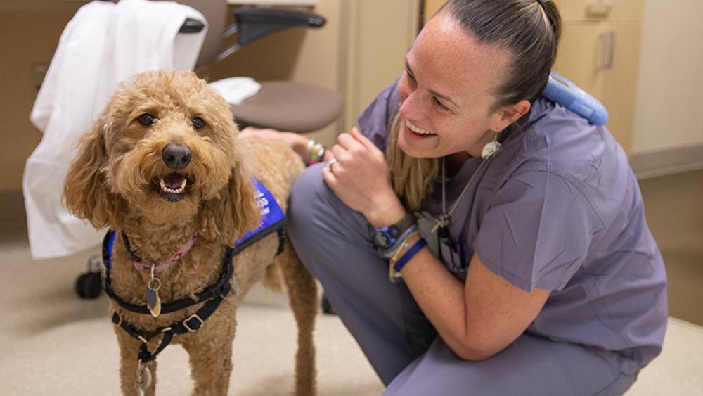 Tova, a Dogs on Call therapy pup, brings a sense of calm and cheer to a VCU Health staff member while on rounds at VCU Health. Photo courtesy of the VCU Center for Human-Animal Interaction